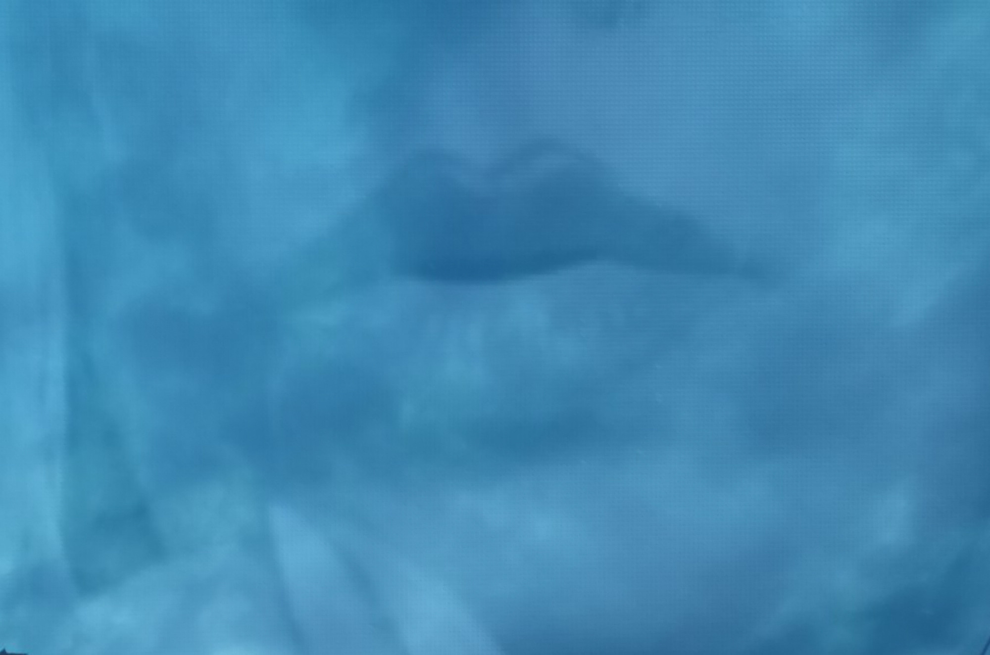 TWILIGHT OF THE EAST