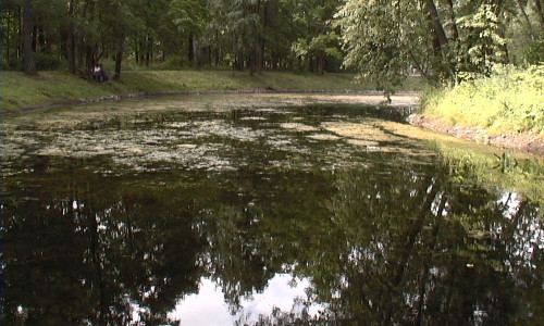 Tebi, Moja Ljubavi i Živote